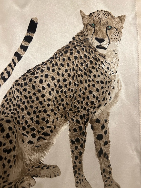 Paolo Santini Women's Animal Print Button-Down Shirt - Brown/Black/Cream - Picture 9 of 9